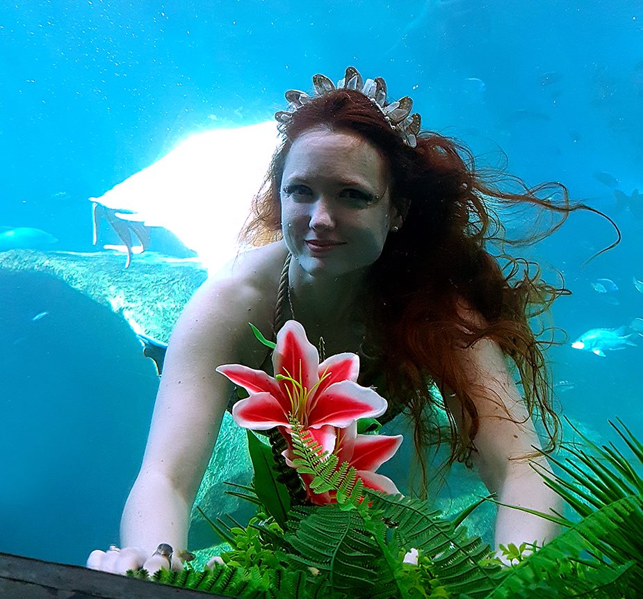 cropped-20190511_174133bis.jpg